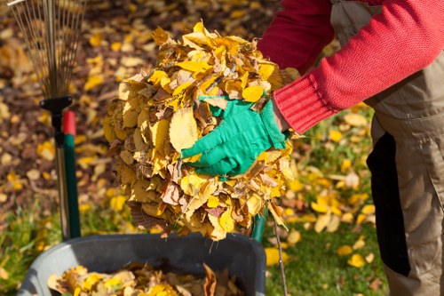 Efficient garden clearance services in Walthamstow