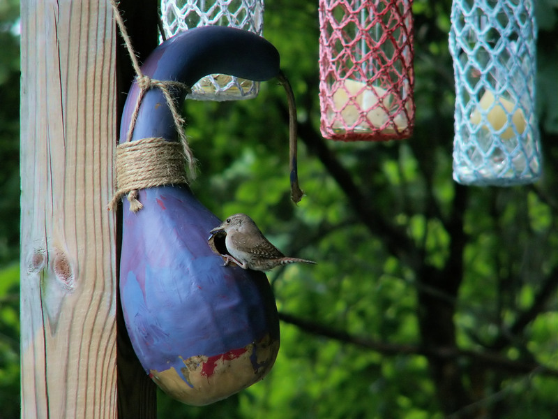 junk removal garden waste